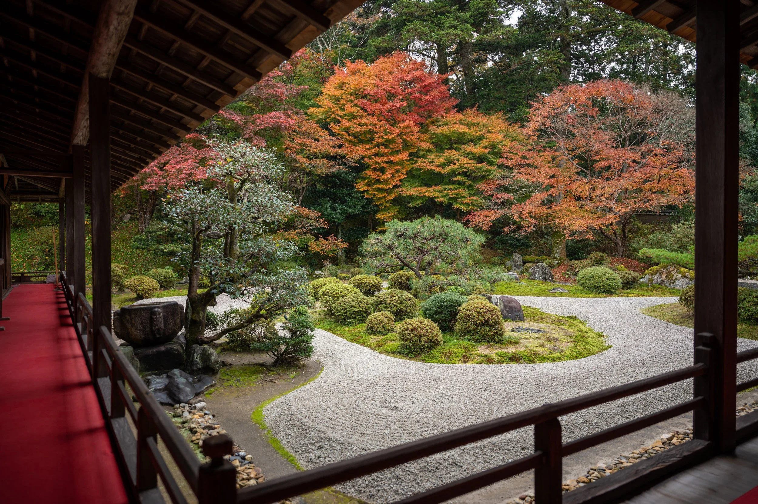 京都の紅葉を穴場で — Genji Kyoto
